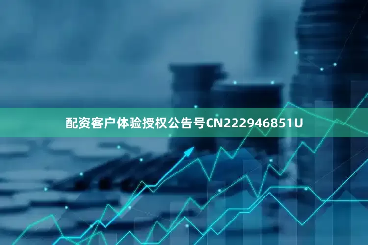 配资客户体验授权公告号CN222946851U