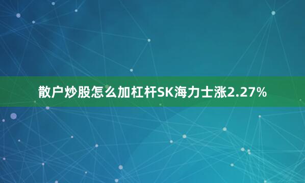 散户炒股怎么加杠杆SK海力士涨2.27%