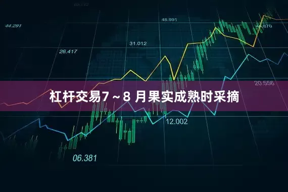 杠杆交易7～8 月果实成熟时采摘