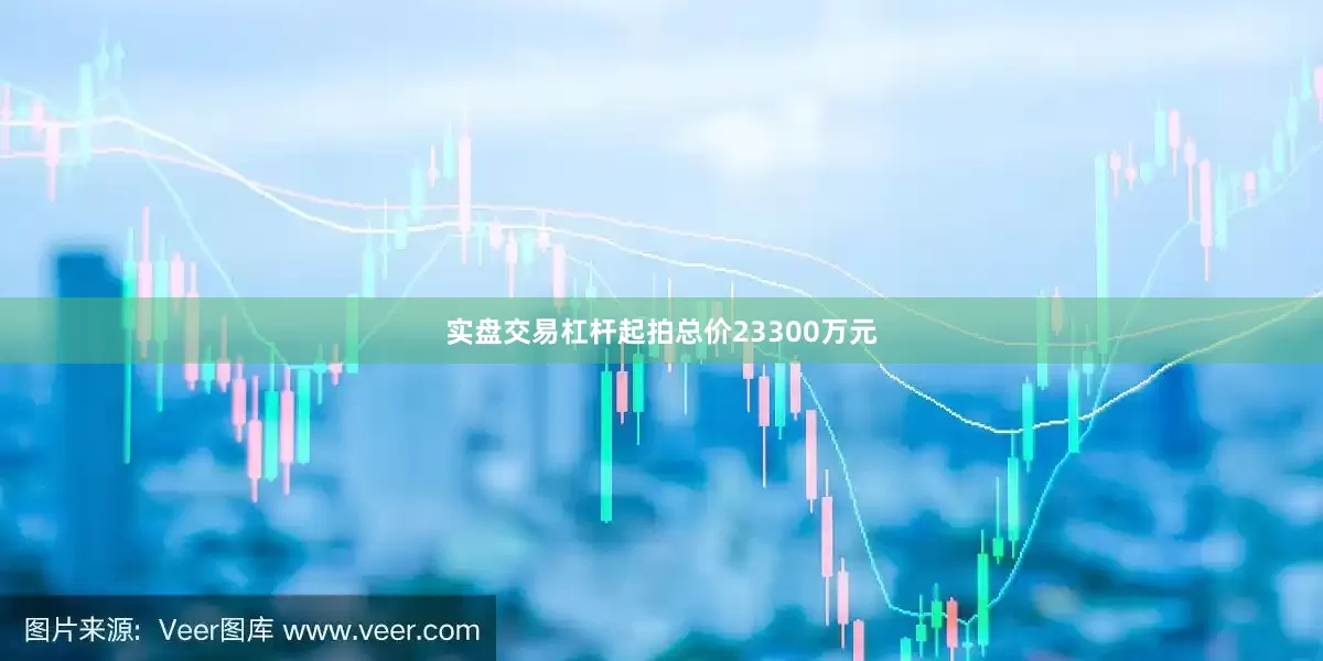 实盘交易杠杆起拍总价23300万元