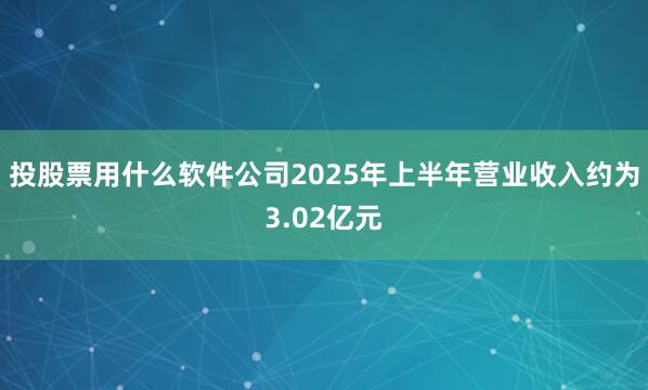 投股票用什么软件公司2025年上半年营业收入约为3.02亿元