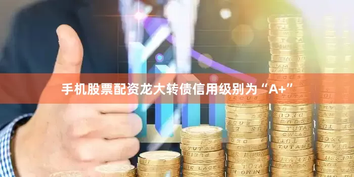 手机股票配资龙大转债信用级别为“A+”